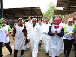 Gubernur Khofifah Imbau Masyarakat Tak Perlu Cemas Konsumsi Telur