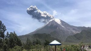 Meletus, Begini Penampakan Semburan Abu Vulkanik Merapi