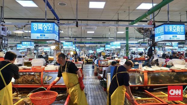 Jadi Turis Sembari Meliput Festival Film Busan