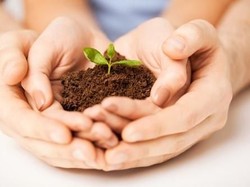 Macam-macam Gebrakan untuk Selamatkan Bumi