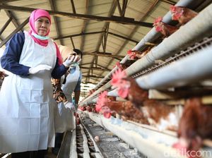 Pabrik Tahu Masih Pakai Sampah Plastik Impor, Khofifah Tawarkan Empat Opsi Pabrik Tahu Masih Pakai Sampah Plastik Impor, Khofifah Tawarkan Empat Opsi