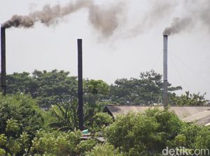 Pabrik Tahu yang Gunakan Sampah Plastik Impor Tak Bisa Dilarang, Ini Solusinya Pabrik Tahu yang Gunakan Sampah Plastik Impor Tak Bisa Dilarang, Ini Solusinya