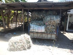 LSM Klaim Telur di Tropodo Terpapar Racun, Ini Langkah Kadistan Sidoarjo