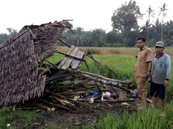 6 Petani Disambar Petir di Agam Sumbar, Satu Orang Tewas