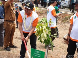 Jadikan KEK Pariwisata, Kawasan Jatigede Ditanami Sejuta Pohon