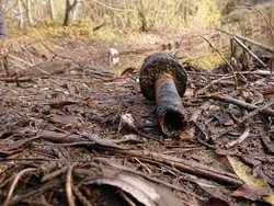 Niat Mancing Ikan, Anak-anak Ini Malah Temukan Puing Senjata Perang Dunia II
