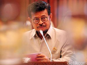 Mentan Akan Isolasi Daerah yang Kena Virus Kolera Babi di Sumut Mentan Akan Isolasi Daerah yang Kena Virus Kolera Babi di Sumut