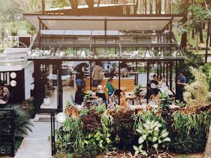 Kafe Instagramable di Bogor Hingga Kangkung Dianggap Gulma