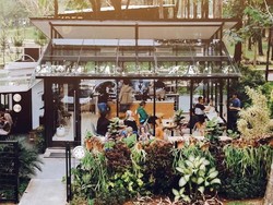 Kafe Instagramable di Bogor Hingga Kangkung Dianggap Gulma
