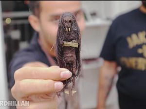 Youtuber Masak Jenglot Krispi, Kayak Apa Ya Bentuknya?