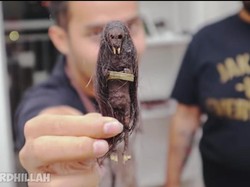 Youtuber Masak Jenglot Krispi, Kayak Apa Ya Bentuknya?