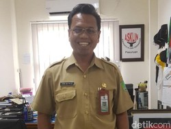 Dinkes Pasuruan Antisipasi Serangan Tawon Vespa dengan Sosialisasi