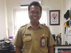 Dinkes Pasuruan Antisipasi Serangan Tawon Vespa dengan Sosialisasi Dinkes Pasuruan Antisipasi Serangan Tawon Vespa dengan Sosialisasi