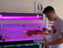 Profil Eza Gionino yang Akhirnya Maafkan Ancaman dari Penjual Ikan
