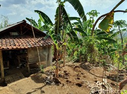 Kisah Keluarga di Sukabumi Ngungsi ke Gubuk Tepi Bukit karena Rentenir