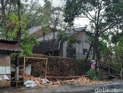 Angin Kencang Melanda Jember, Pohon Tumbang dan Tiang Listrik Roboh