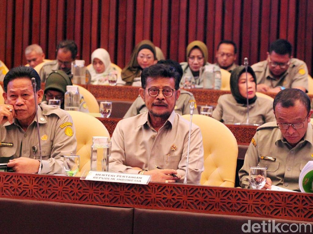 Mentan Beberkan Hasil Produksi Padi di Depan DPR, Ini Datanya Mentan Beberkan Hasil Produksi Padi di Depan DPR, Ini Datanya