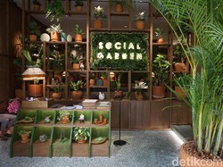 Social Garden: Ketika Restoran dan Taman Jadi Satu di dalam Mal