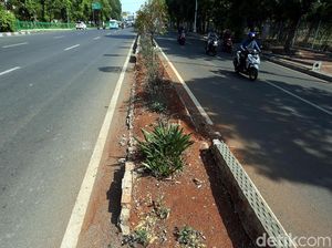 Taman Pembatas Jalan Jatinegara Barat Bagai Tak Terawat