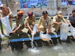 Warga Banyuwangi Sulap Sungai Penuh Sampah Jadi Lokasi Wisata