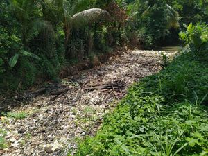 Warga Khawatir Sampah Kalibaru Bikin Banjir, Pemkab Bogor: Kami Pantau