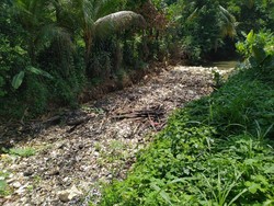 Warga Khawatir Sampah Kalibaru Bikin Banjir, Pemkab Bogor: Kami Pantau