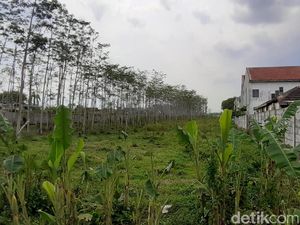 Izin Dirikan Grosir di Malang Terhambat, Perusahaan Ini Surati Presiden