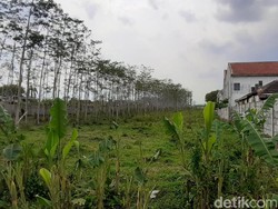 Izin Dirikan Grosir di Malang Terhambat, Perusahaan Ini Surati Presiden