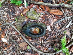 Kisah Batu Pengabul Doa di Papua