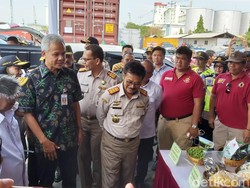 Mentan Lepas Ekspor Porang Rp 1,2 M dari Jateng