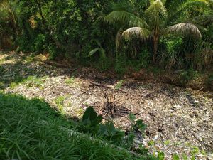 Sampah di Kalibaru Bogor Tak Kunjung Dibersihkan, Warga Khawatir Banjir