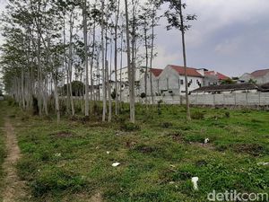 Kenapa Izin Usaha Grosir Ini Tak Diterbitkan Pemkab Malang?