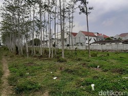 Kenapa Izin Usaha Grosir Ini Tak Diterbitkan Pemkab Malang?