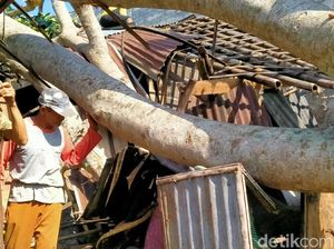 Penampakan Kerusakan Rumah Warga Akibat Angin Kencang di Pemalang