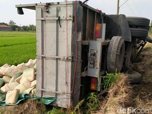 Truk Bermuatan Puluhan Ton Semen Terguling ke Sawah di Klaten
