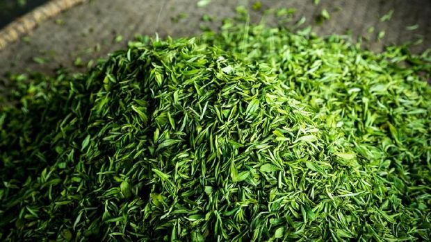 Green tea in a flat round split bamboo basket at Meijiawu of Hangzhou.