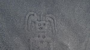 Penampakan Temuan Baru Gambar-gambar Kuno Misterius