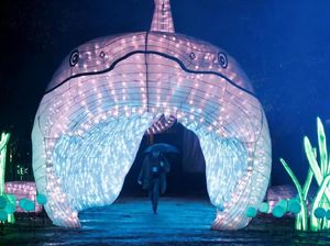 Semarak Lentera Satwa Laut Raksasa di Paris