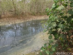 Pencemaran Sungai di Trenggalek Diakibatkan Limbah Pemindangan Ikan
