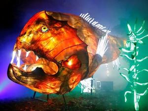 Foto: Cantiknya Lentera Hewan Laut di Paris