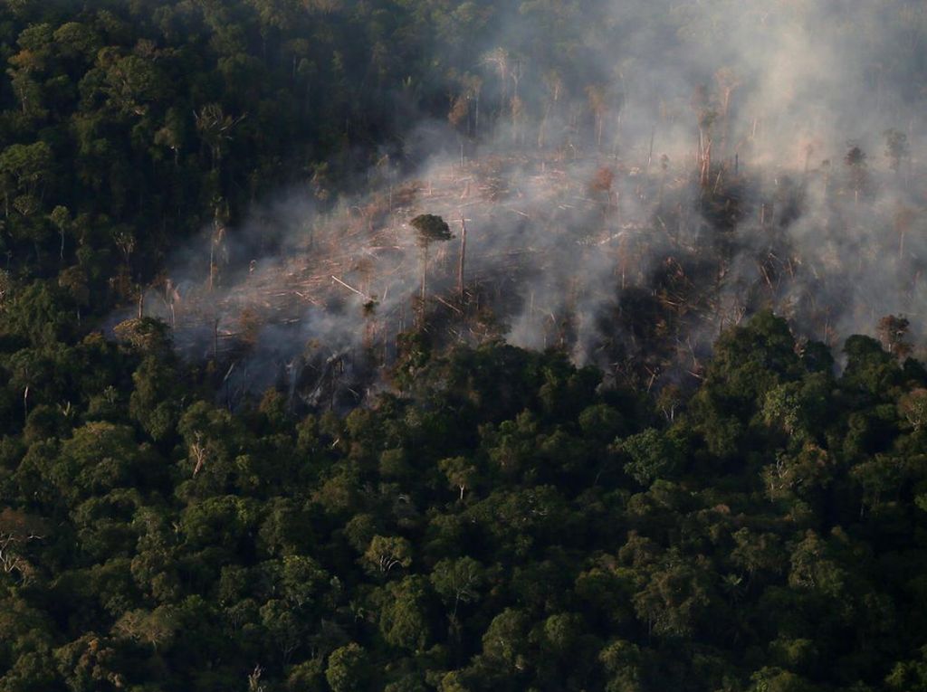 Kebakaran Hutan Brasil Ancam Paru-Paru Bumi