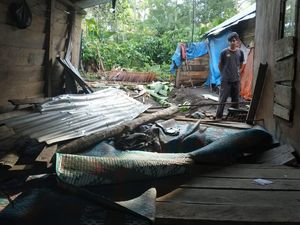 35 Ekor Gajah Turun ke Perkampungan Bener Meriah, 2 Rumah Rusak