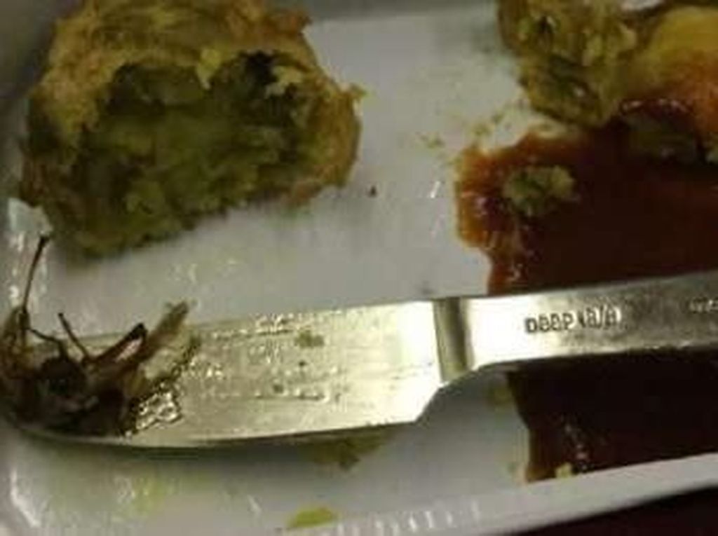 Ketemu Gigi hingga Cicak, Ini 5 Pengalaman Buruk Saat Santap Makanan Pesawat Ketemu Gigi hingga Cicak, Ini 5 Pengalaman Buruk Saat Santap Makanan Pesawat