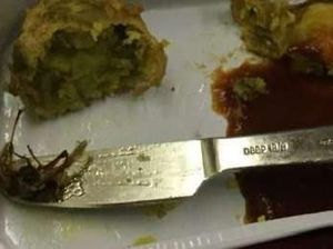 Ketemu Gigi hingga Cicak, Ini 5 Pengalaman Buruk Saat Santap Makanan Pesawat Ketemu Gigi hingga Cicak, Ini 5 Pengalaman Buruk Saat Santap Makanan Pesawat