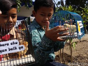 Diklaim Berhasil, Program Chickenisasi Ditambah 10 Ribu Ekor Tahun Depan Diklaim Berhasil, Program Chickenisasi Ditambah 10 Ribu Ekor Tahun Depan