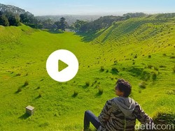 Hidup dan Bernafas Secara Alami di Alam Kiwi