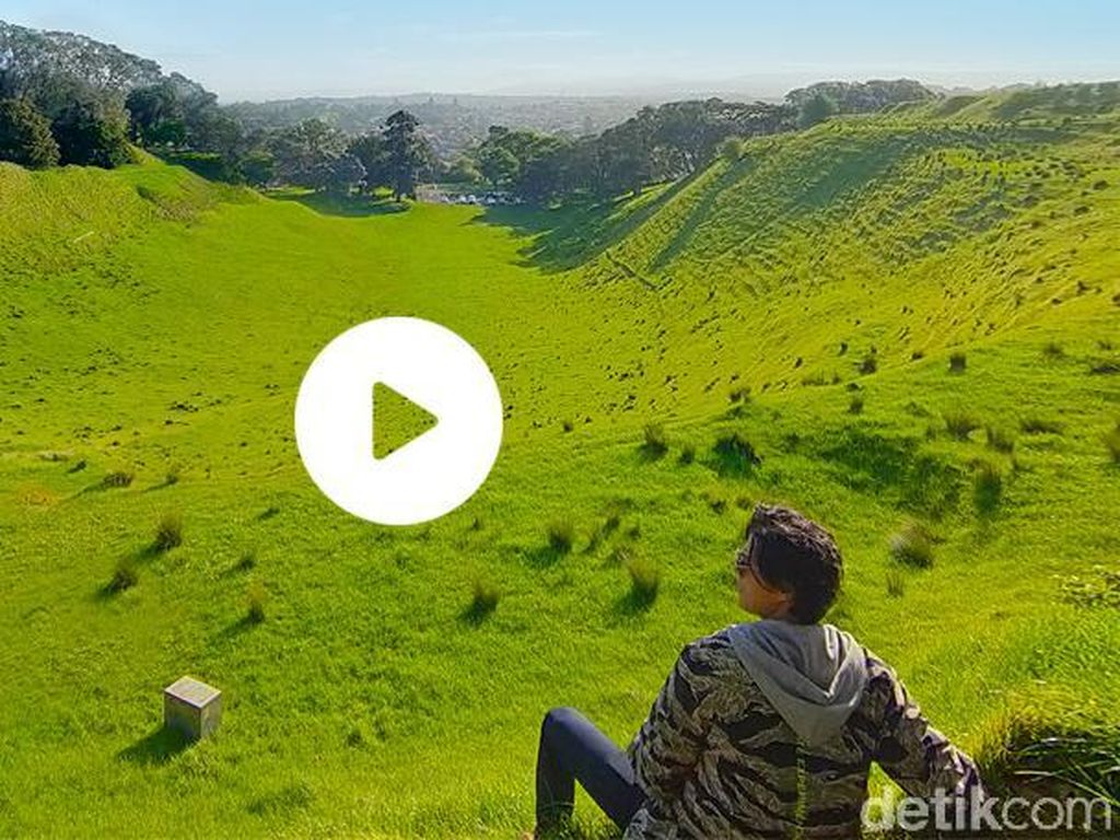 Hidup dan Bernafas Secara Alami di Alam Kiwi Hidup dan Bernafas Secara Alami di Alam Kiwi