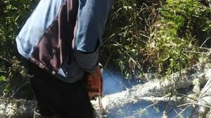 Foto Terkini Jalur Pendakian Gunung Semeru