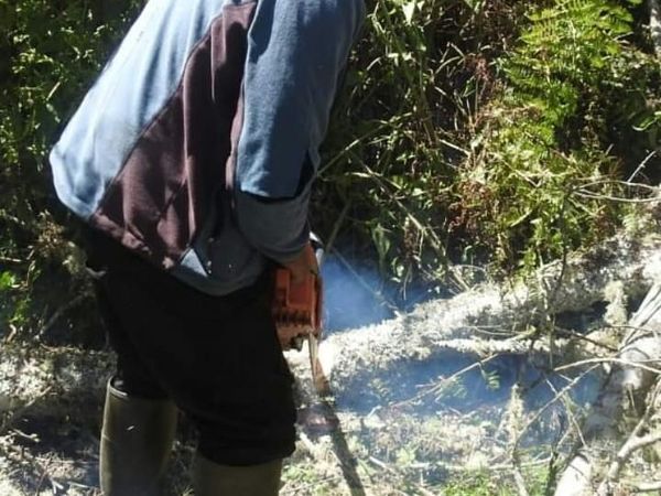 Foto Terkini Jalur Pendakian Gunung Semeru