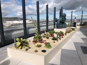 Ini 5 Bandara Tersehat & Paling Membahagiakan di Dunia